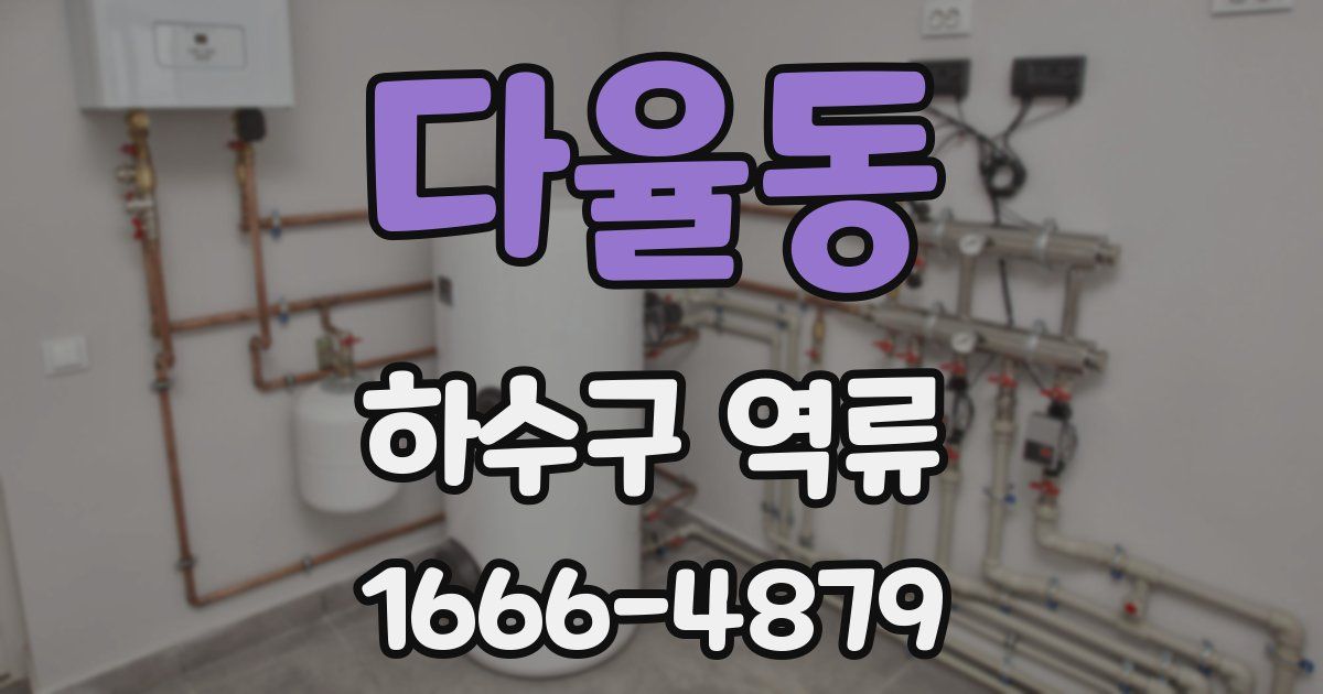다율동 하수구 역류