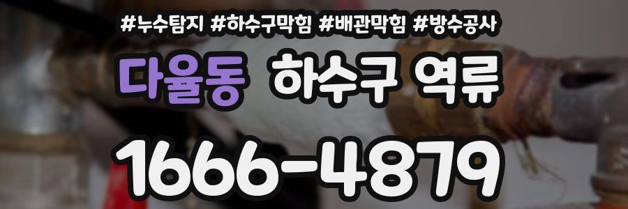 다율동 하수구 역류