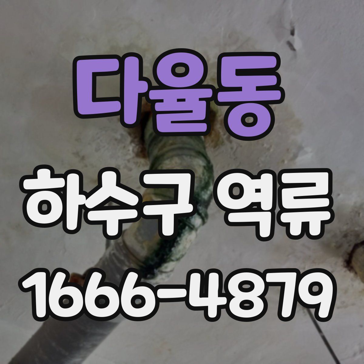 다율동 하수구 역류