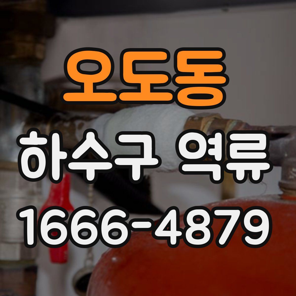 오도동 하수구 역류