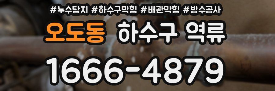오도동 하수구 역류