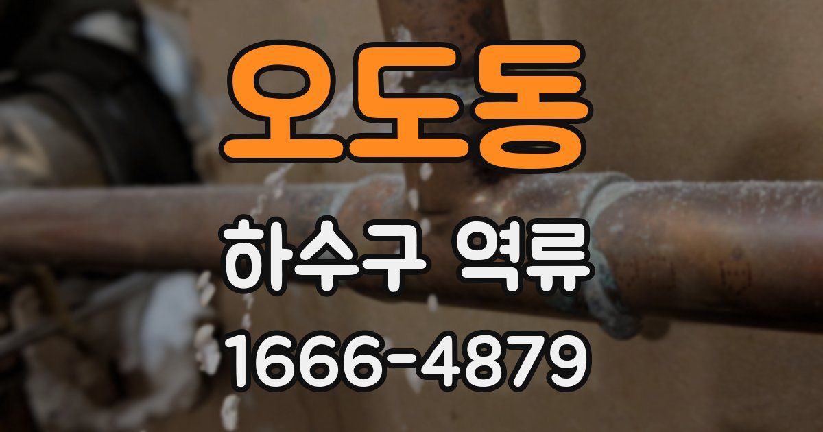 오도동 하수구 역류