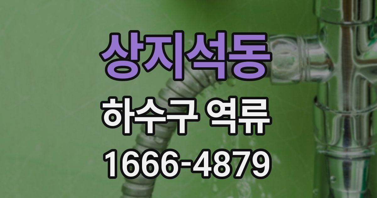 상지석동 하수구 역류
