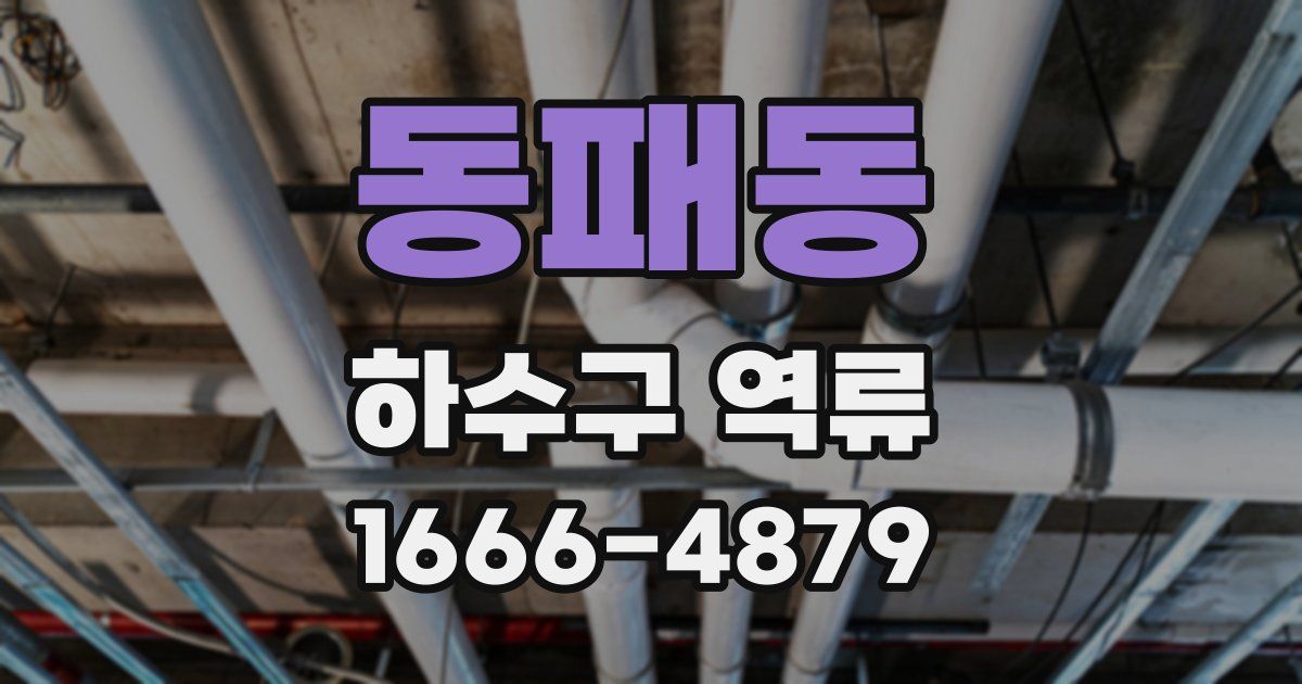 동패동 하수구 역류