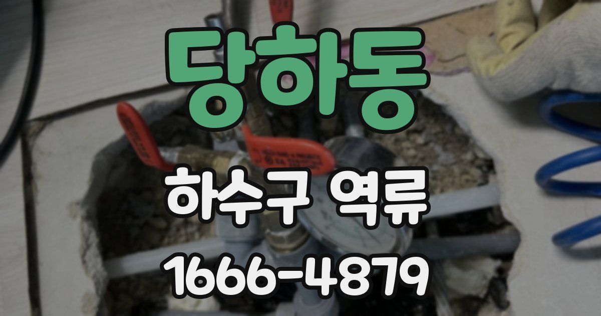 당하동 하수구 역류