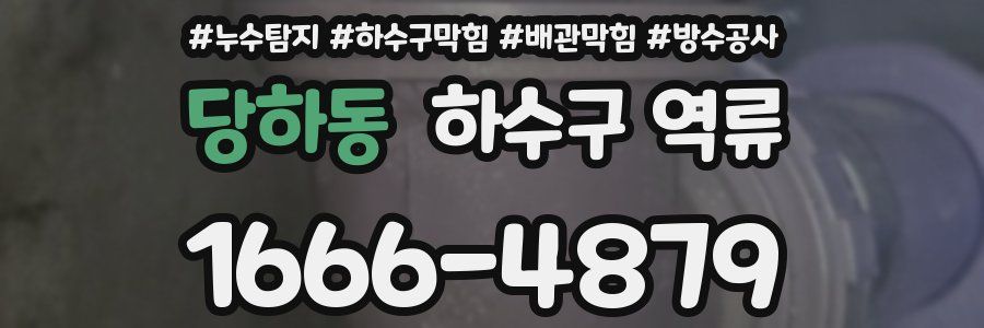 당하동 하수구 역류