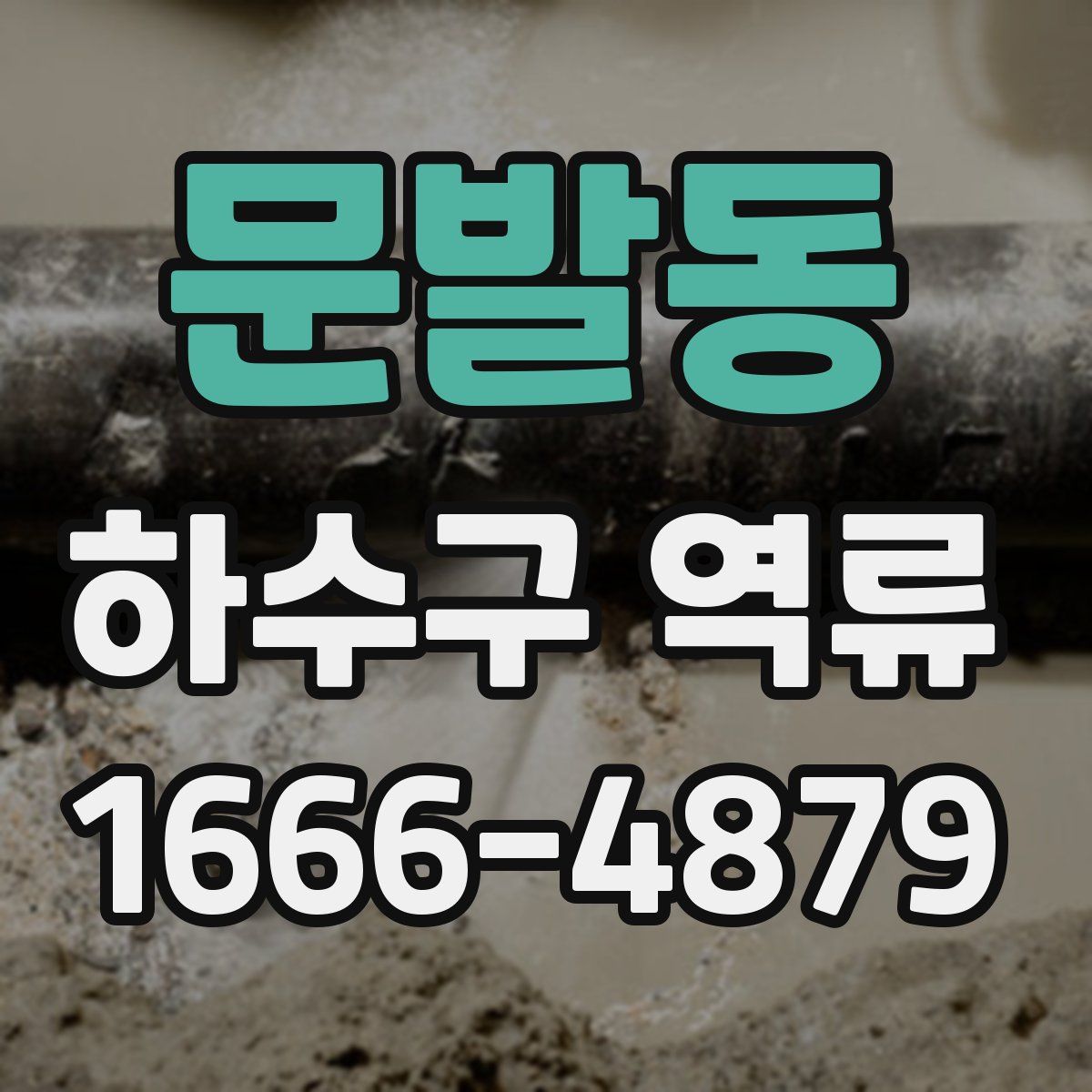 문발동 하수구 역류