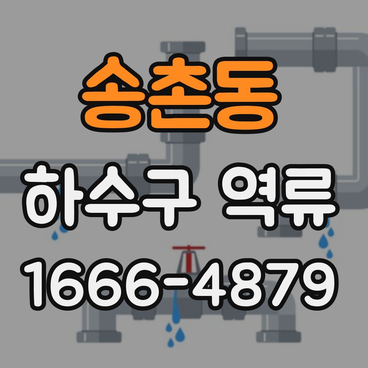 송촌동 하수구 역류