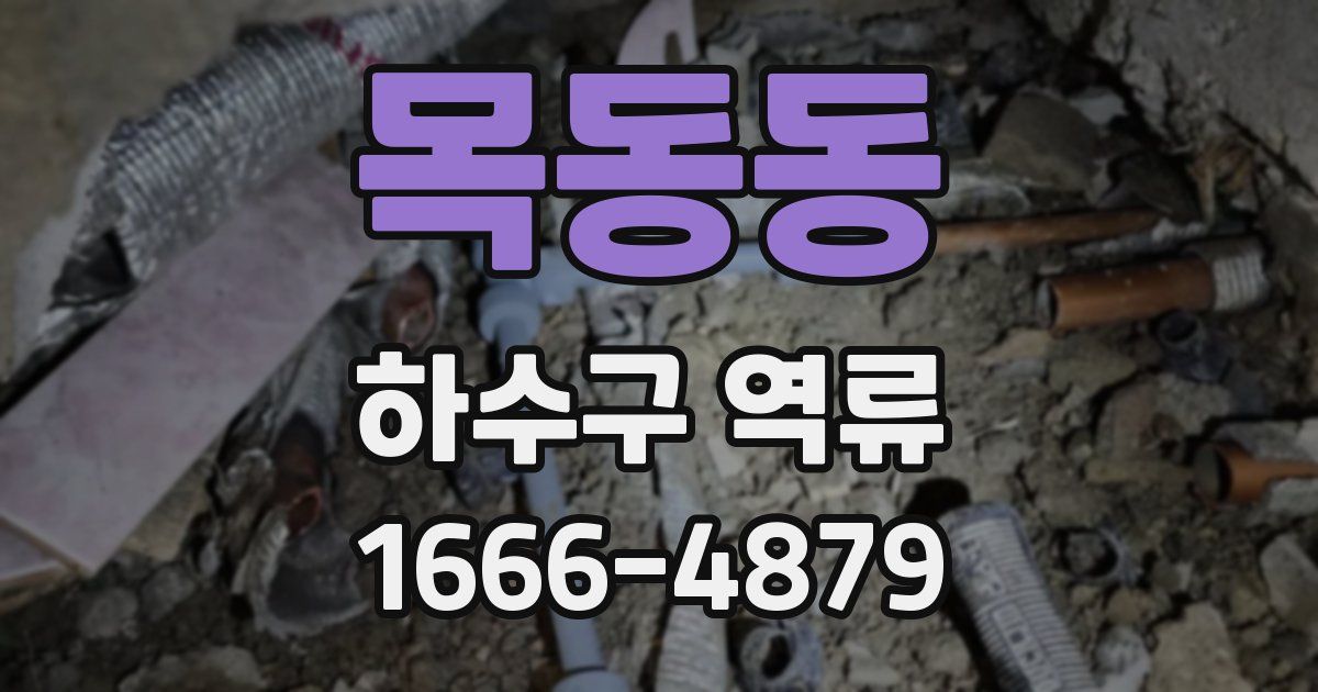 목동동 하수구 역류