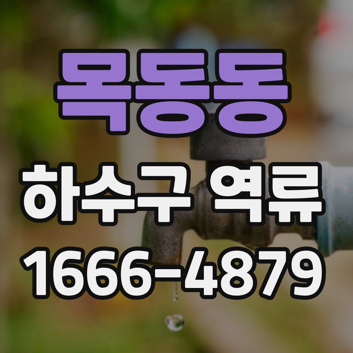 목동동 하수구 역류