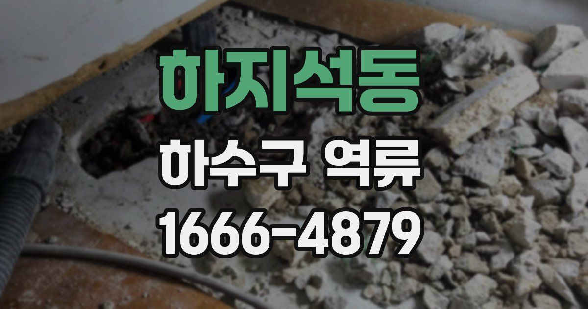 하지석동 하수구 역류
