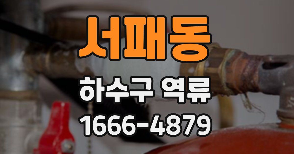 서패동 하수구 역류