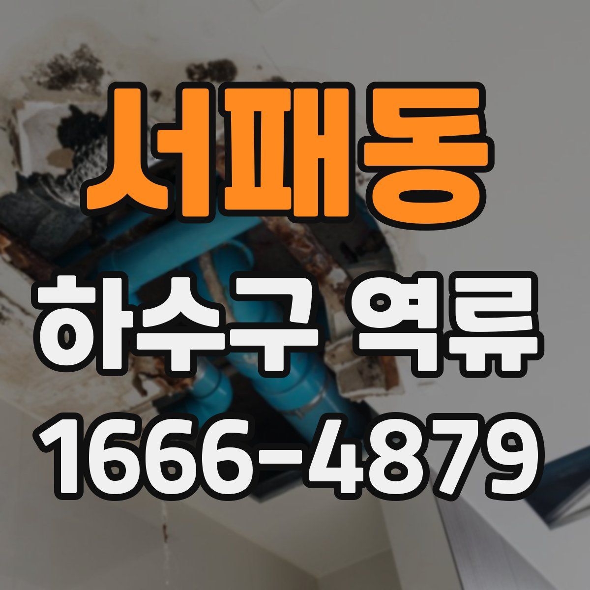 서패동 하수구 역류
