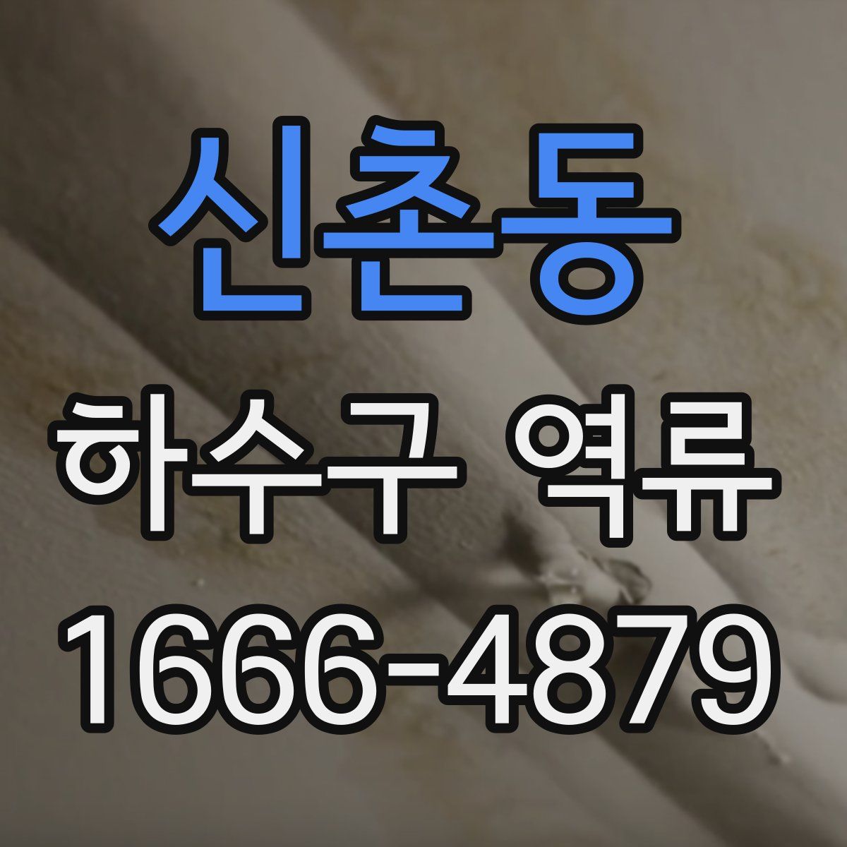 신촌동 하수구 역류