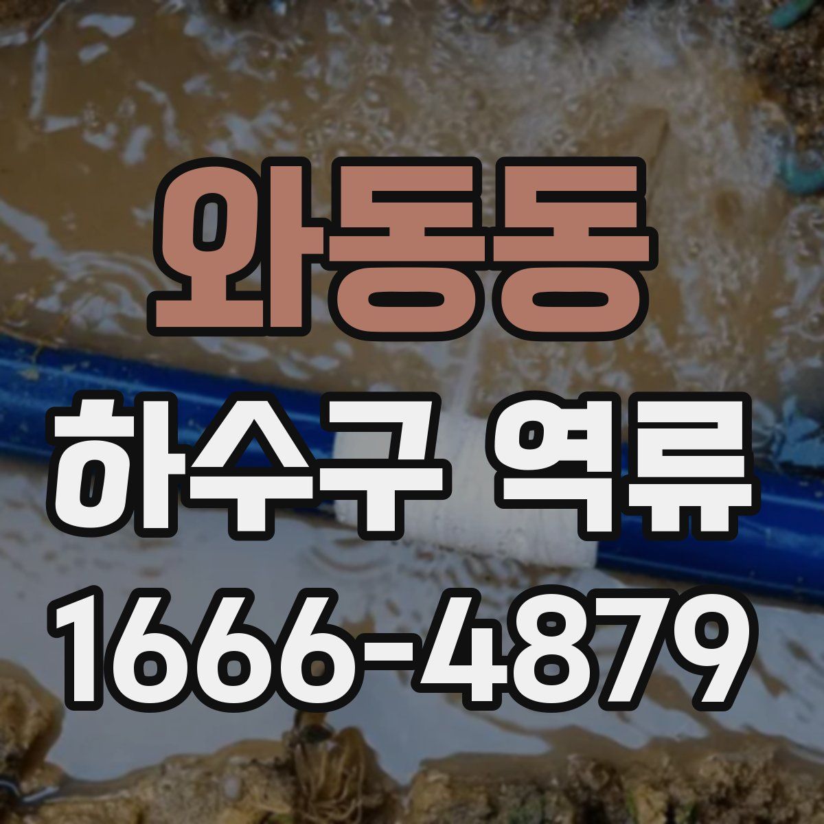 와동동 하수구 역류