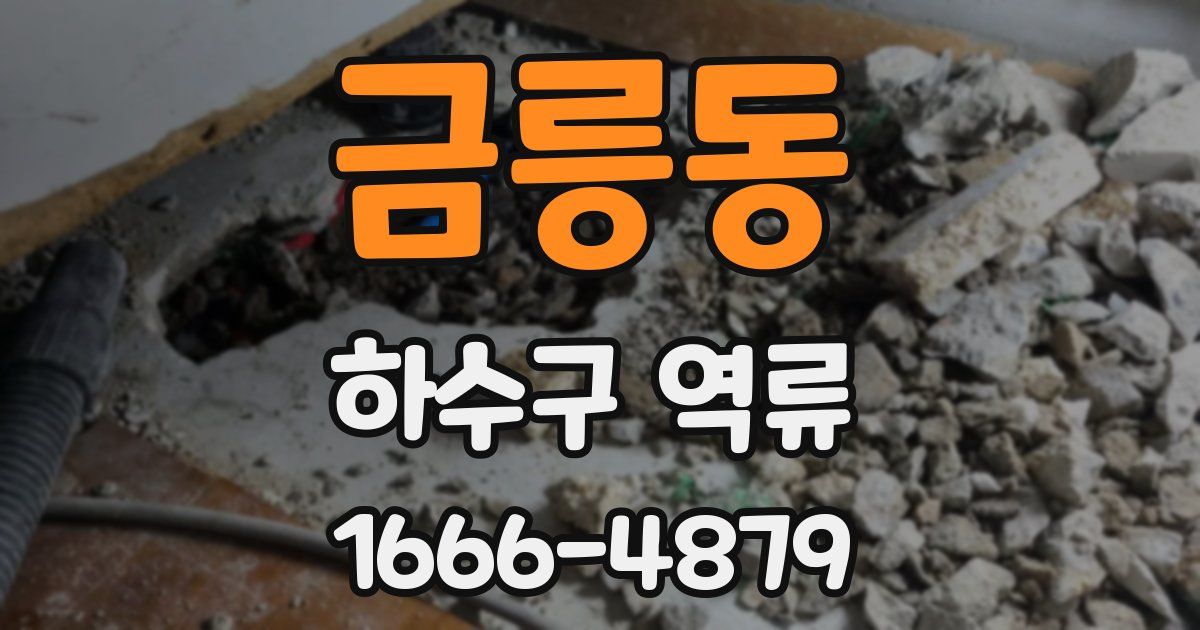 금릉동 하수구 역류