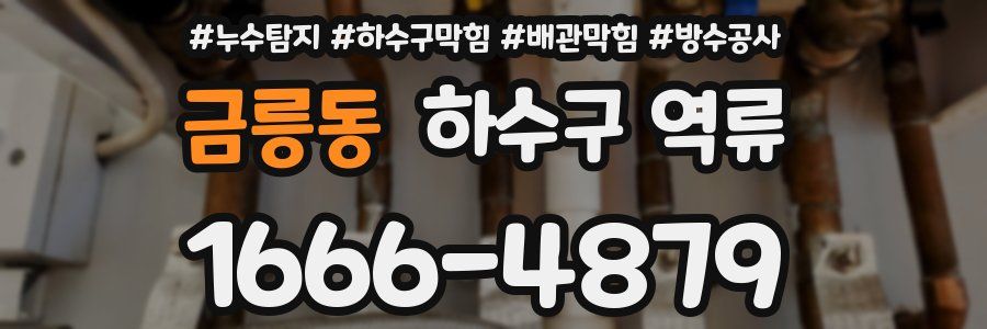 금릉동 하수구 역류