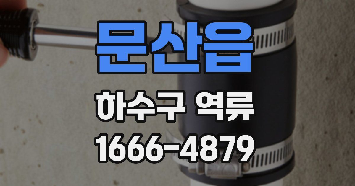 문산읍 하수구 역류