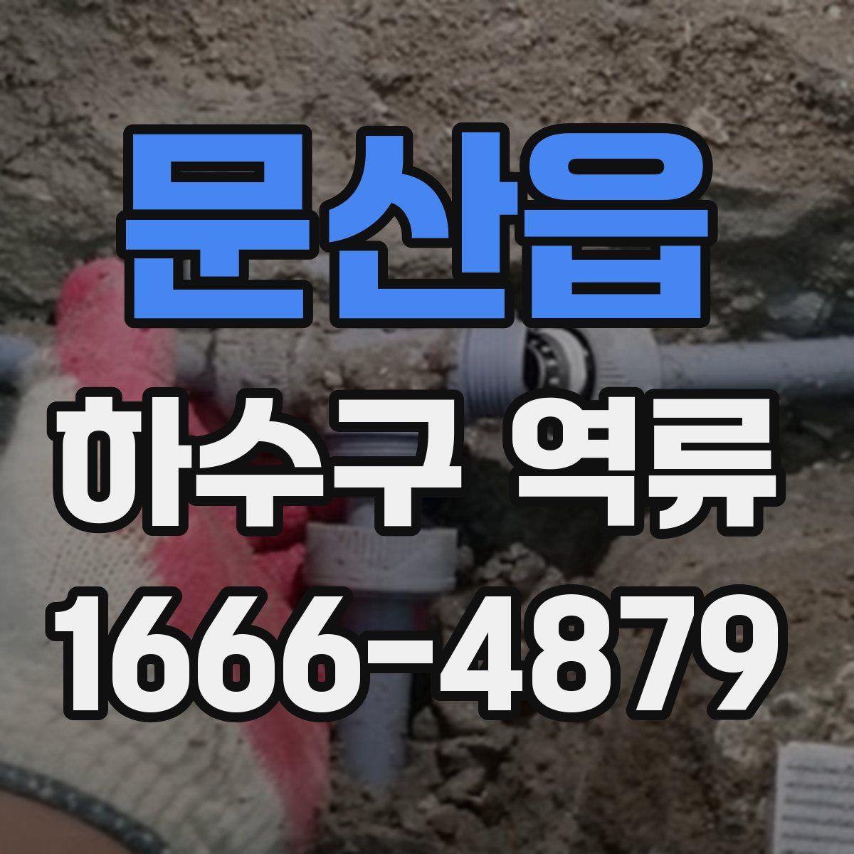 문산읍 하수구 역류