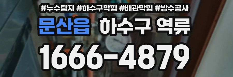 문산읍 하수구 역류