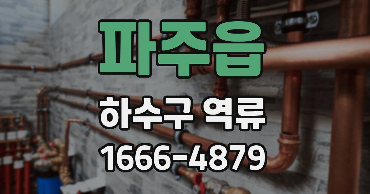 파주읍 하수구 역류