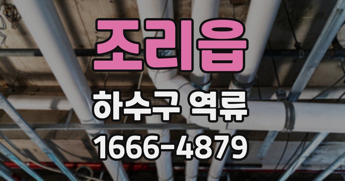 조리읍 하수구 역류