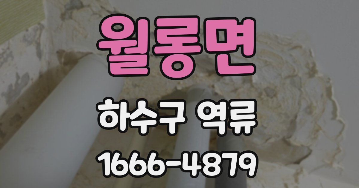 월롱면 하수구 역류