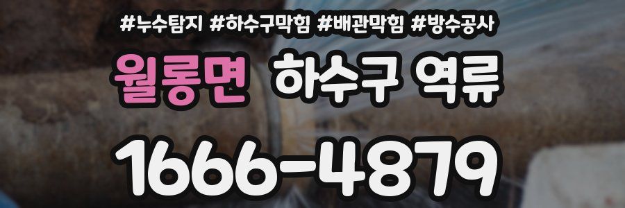 월롱면 하수구 역류