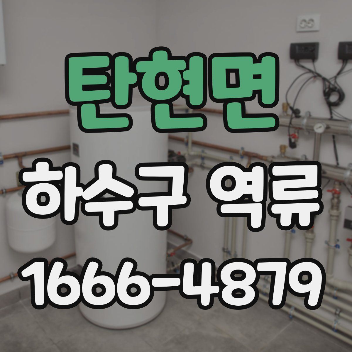 탄현면 하수구 역류