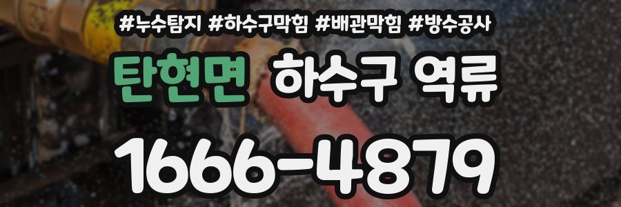 탄현면 하수구 역류