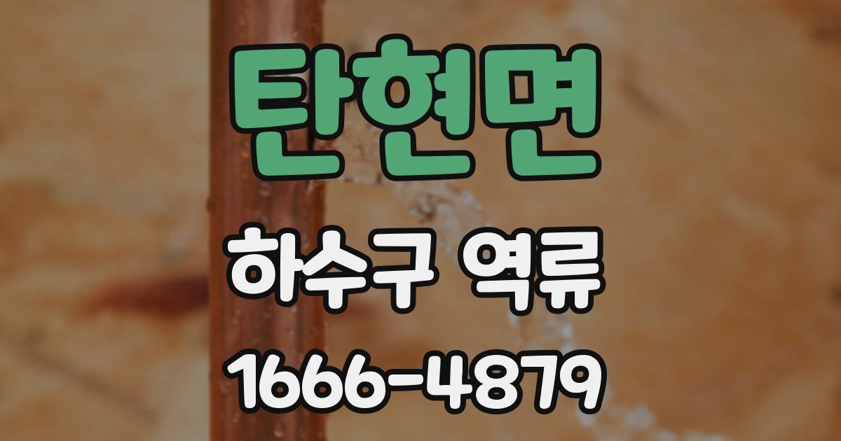 탄현면 하수구 역류
