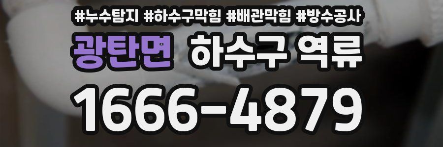 광탄면 하수구 역류