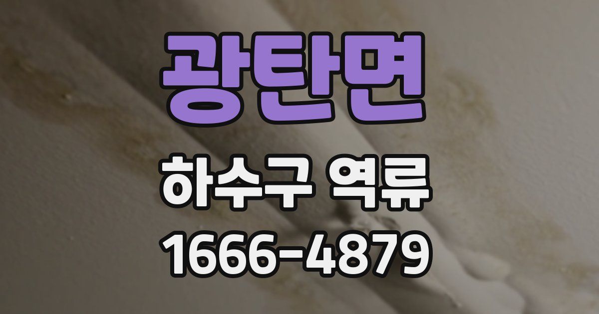 광탄면 하수구 역류