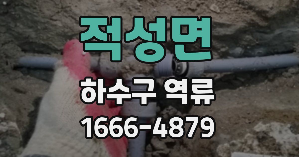 적성면 하수구 역류