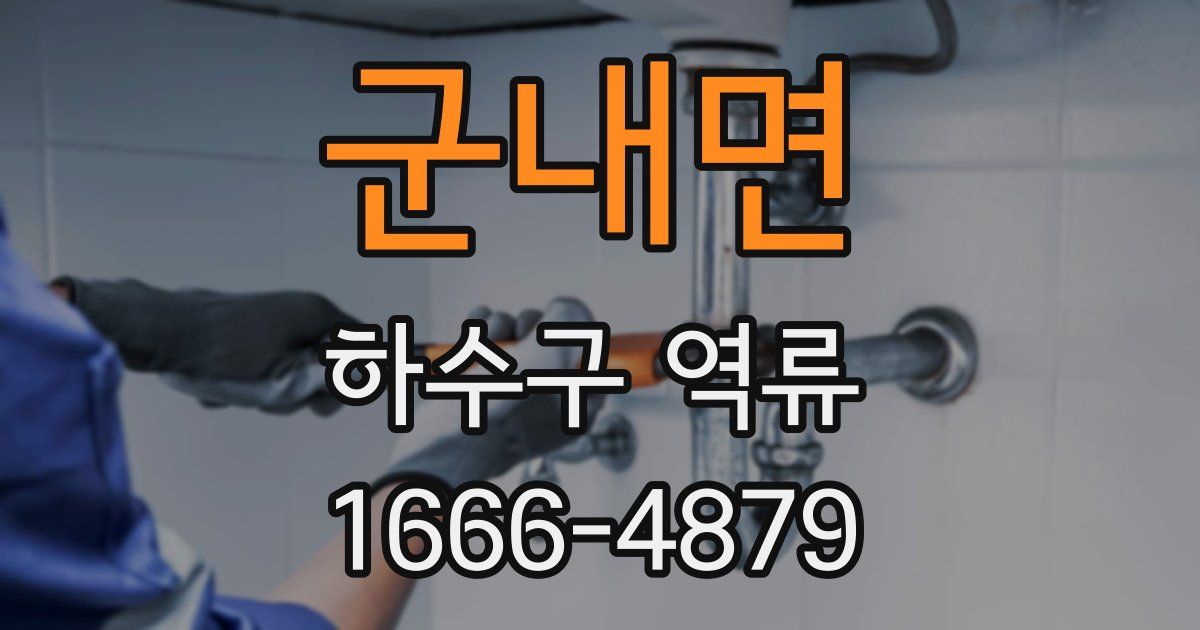 군내면 하수구 역류