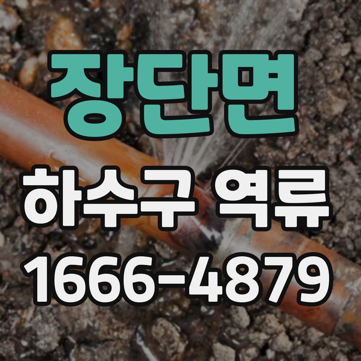 장단면 하수구 역류
