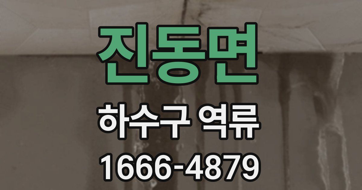 진동면 하수구 역류