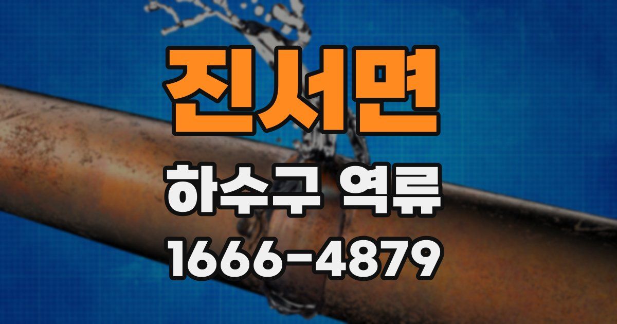 진서면 하수구 역류