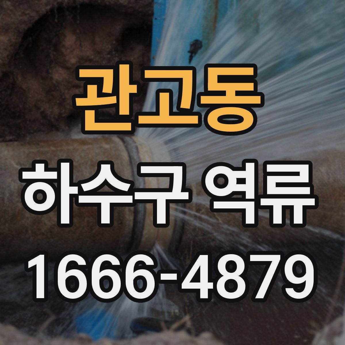관고동 하수구 역류