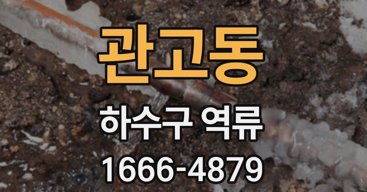 관고동 하수구 역류