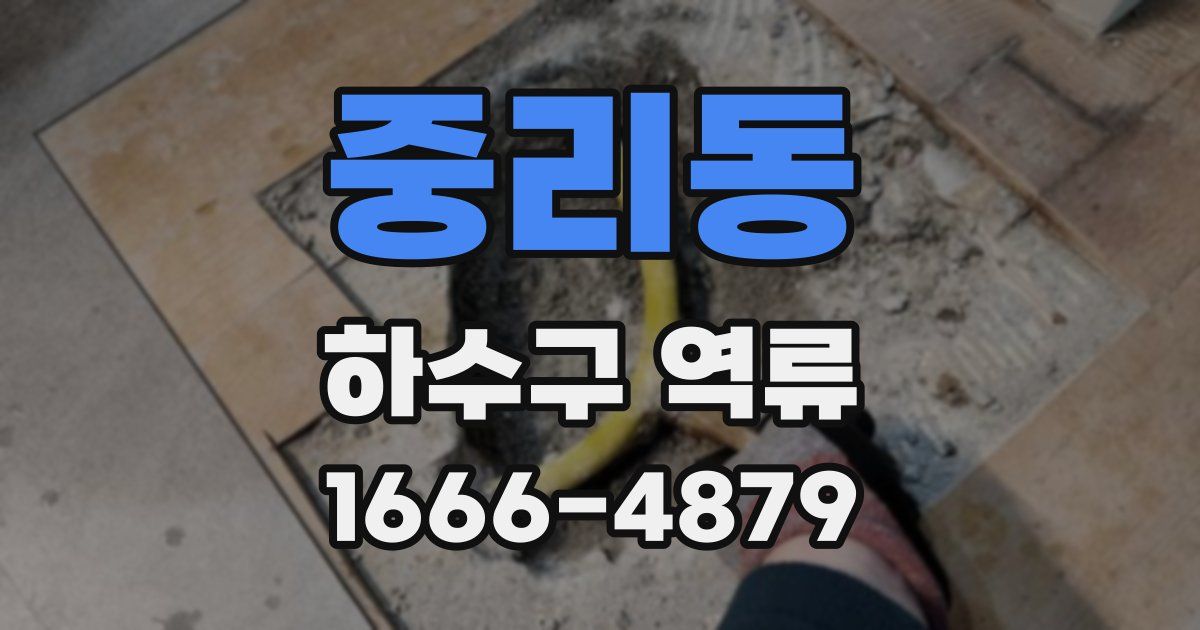 중리동 하수구 역류
