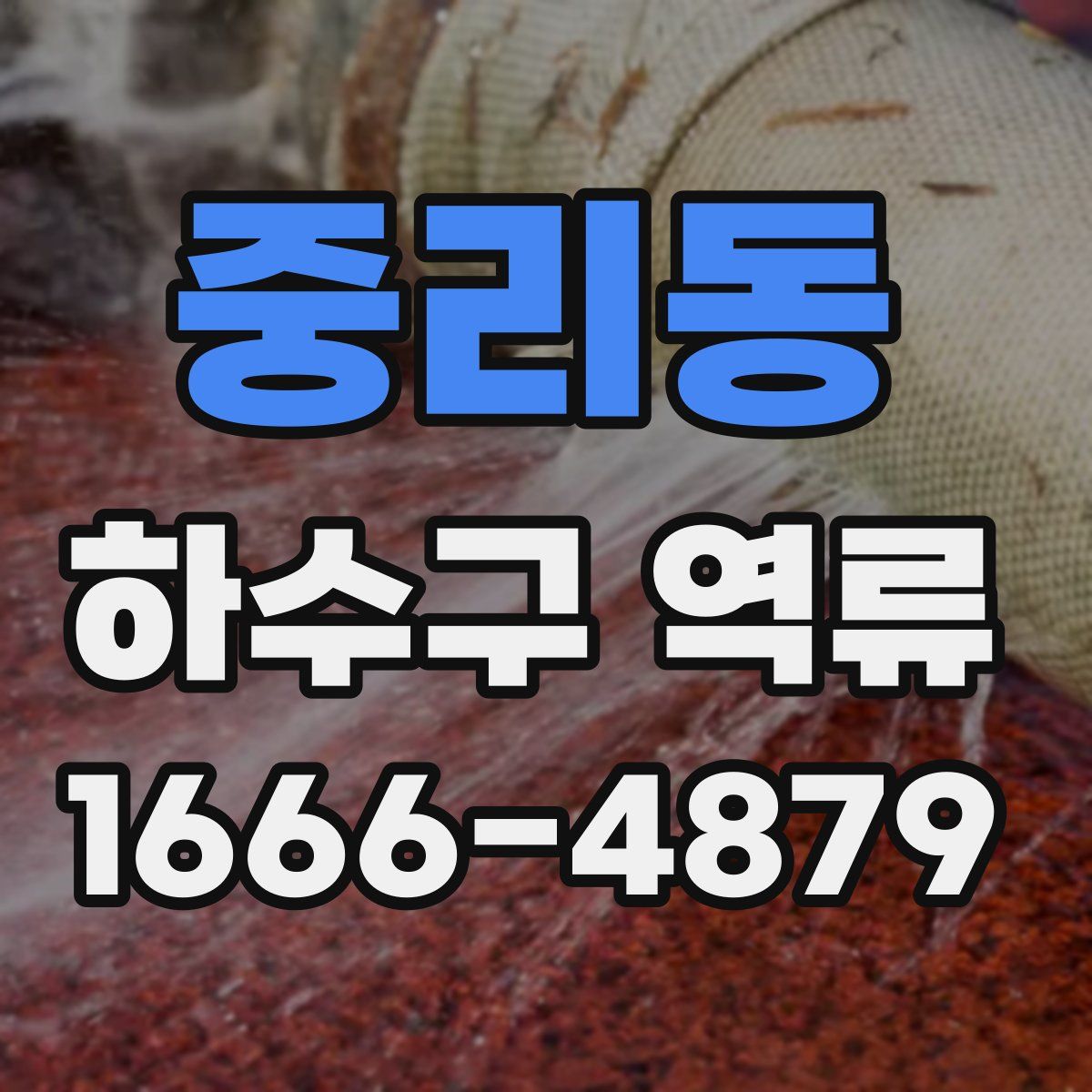 중리동 하수구 역류