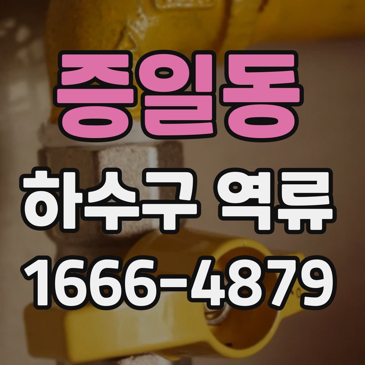 증일동 하수구 역류