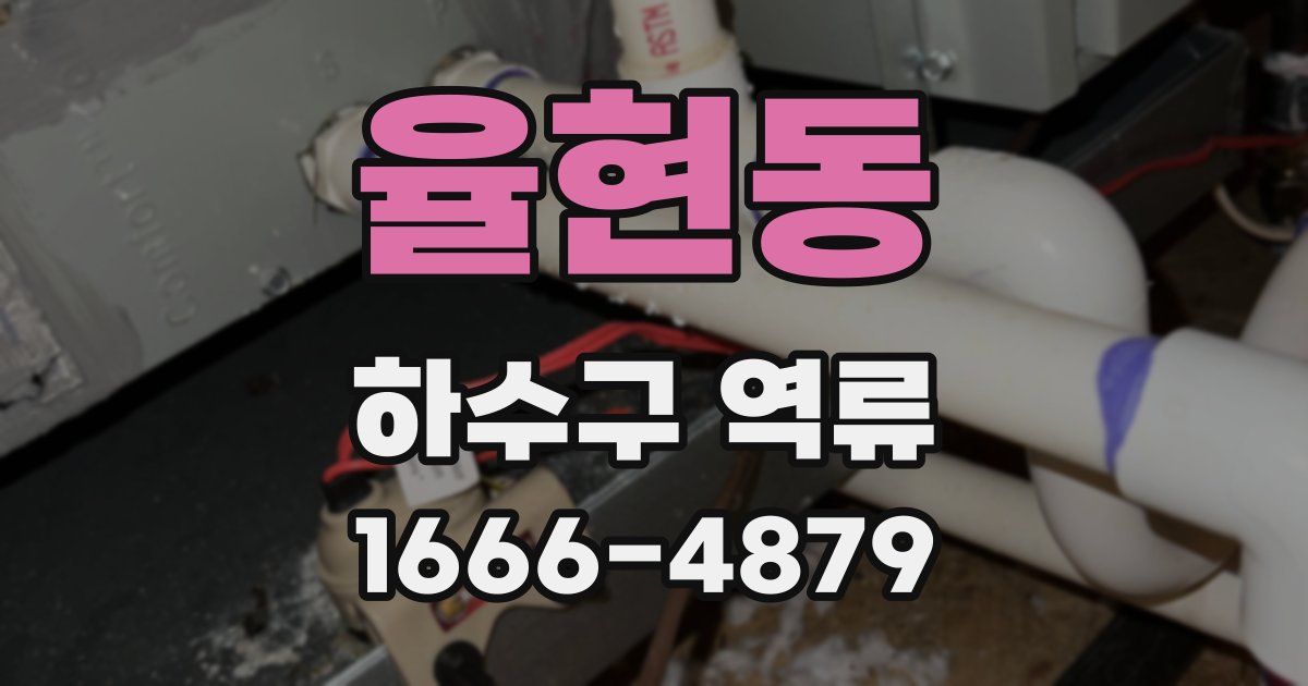 율현동 하수구 역류