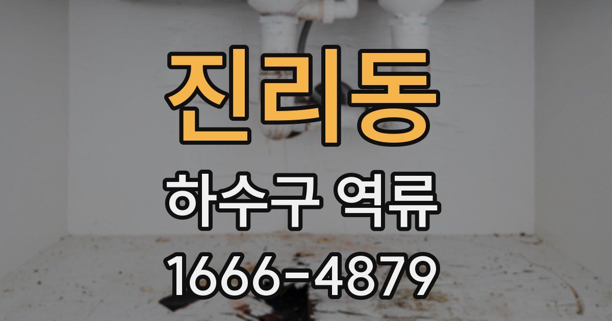 진리동 하수구 역류