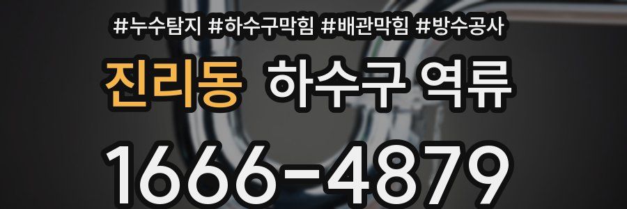 진리동 하수구 역류