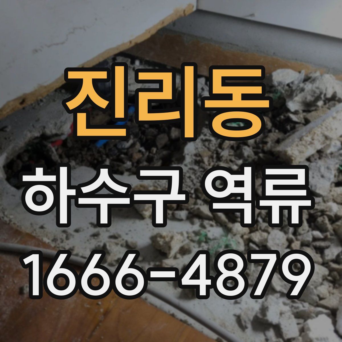 진리동 하수구 역류