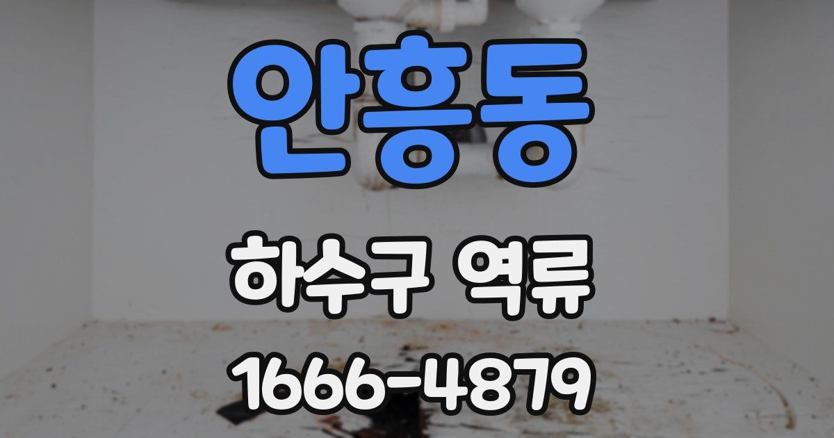 안흥동 하수구 역류