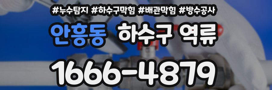 안흥동 하수구 역류