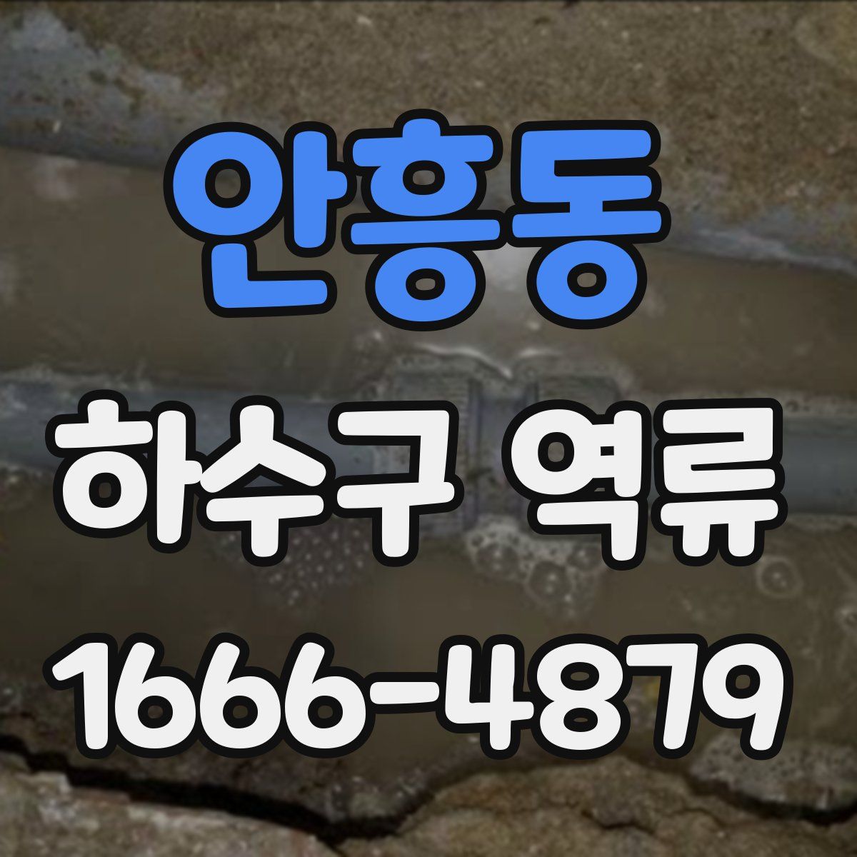 안흥동 하수구 역류
